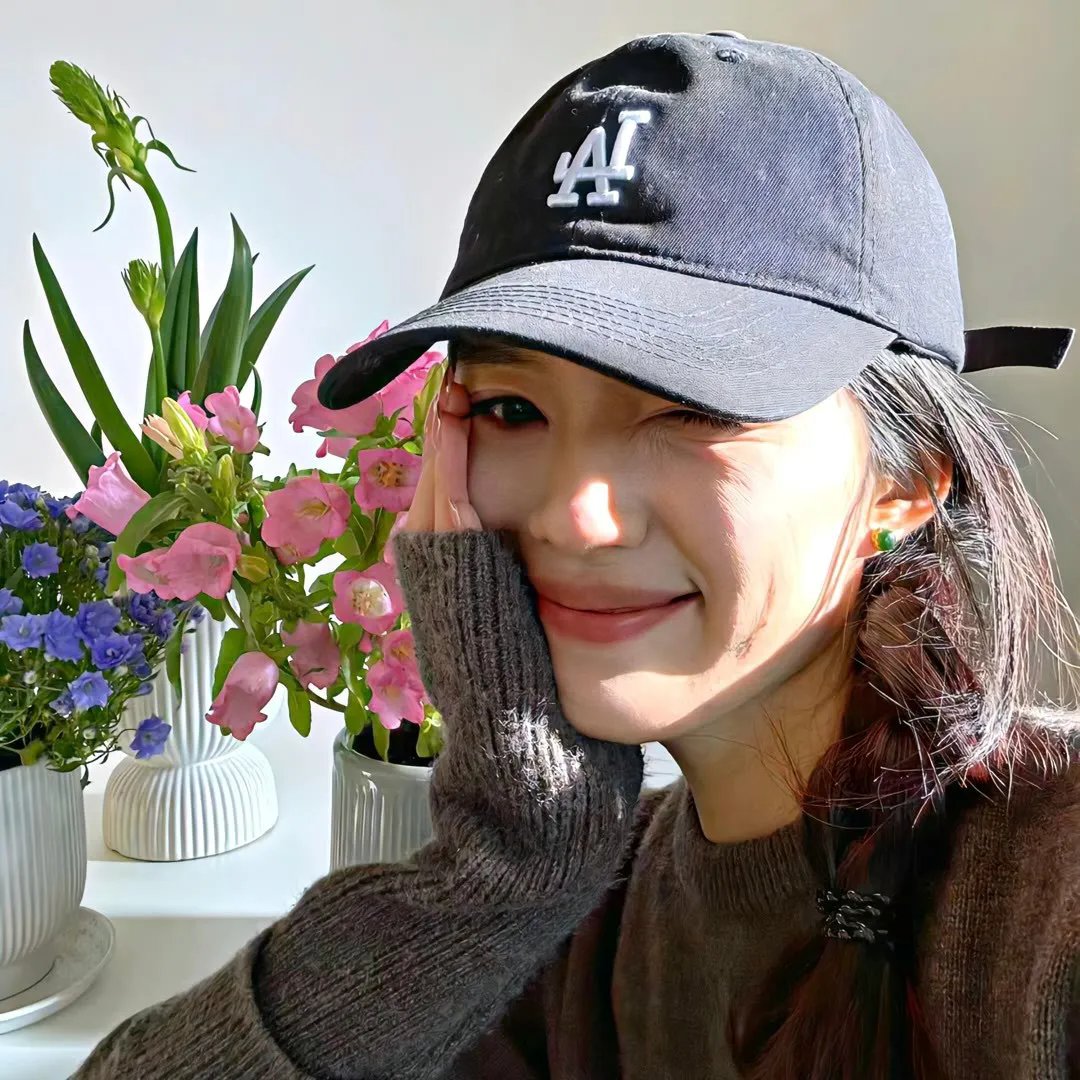 木兰花 海报