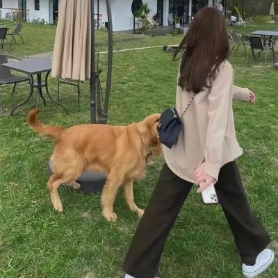 麦道夫：华尔街之魔 首屏图
